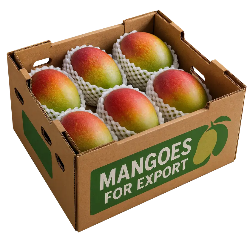 mangos en caja