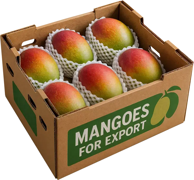mangos en caja